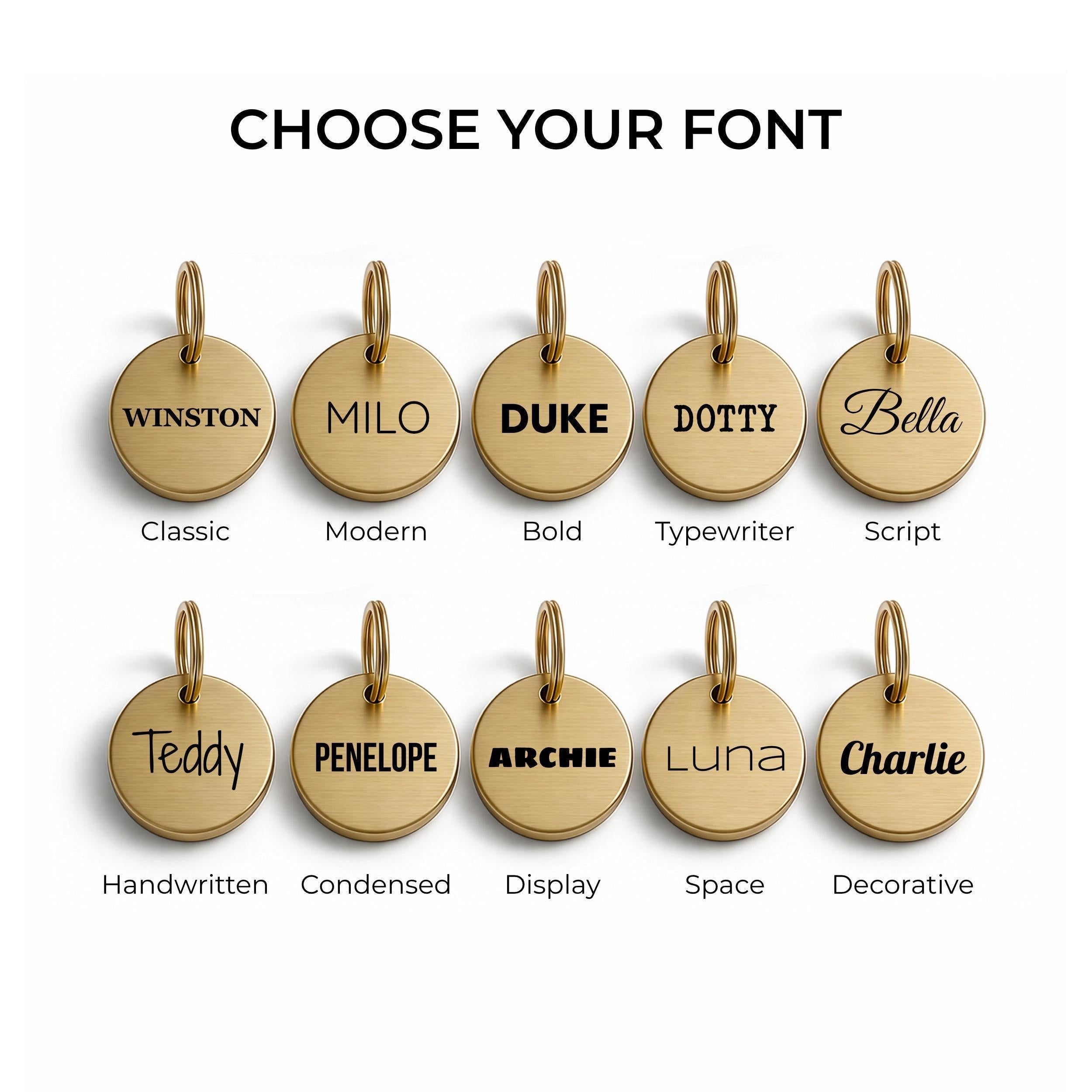 The ten engraving fonts available for the personalised Wire Haired Vizsla dog tag