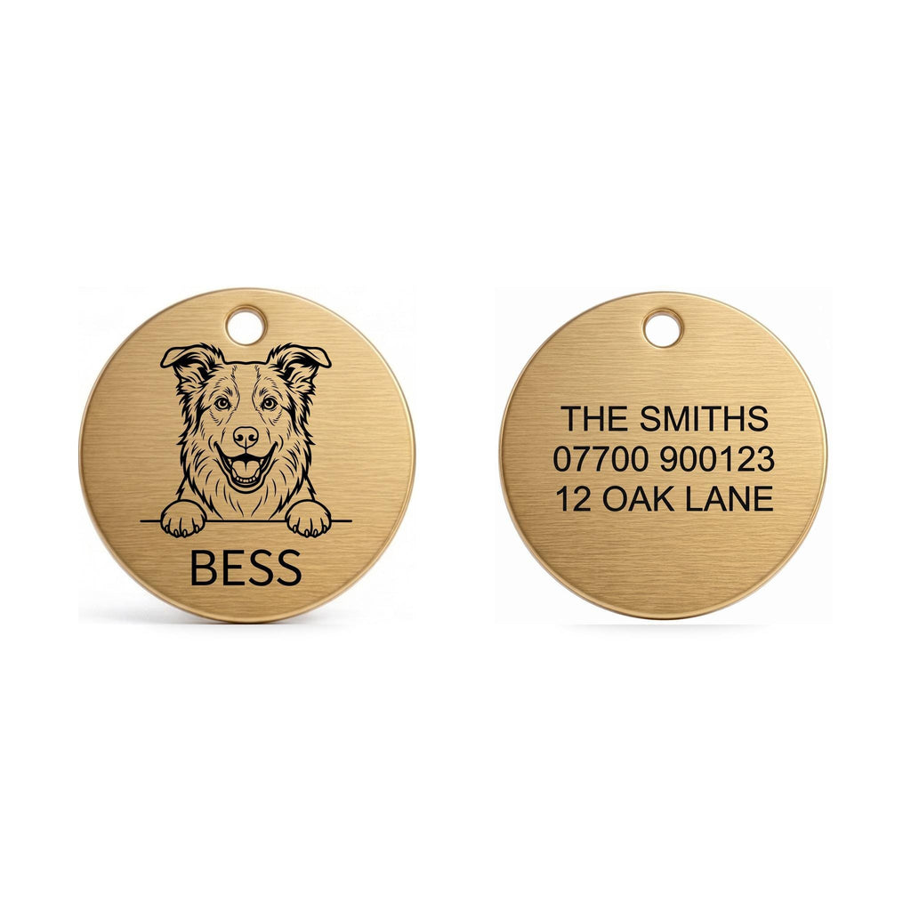 Front and back of the Border Collie dog tag: breed design and name on the front, contact details on the back