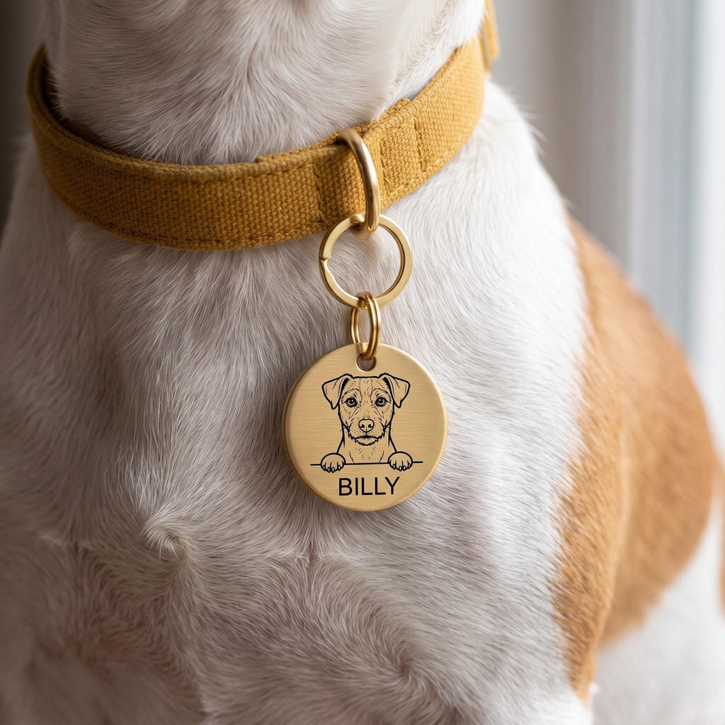 Jack Russell wearing the personalised Jack Russell dog tag on its collar