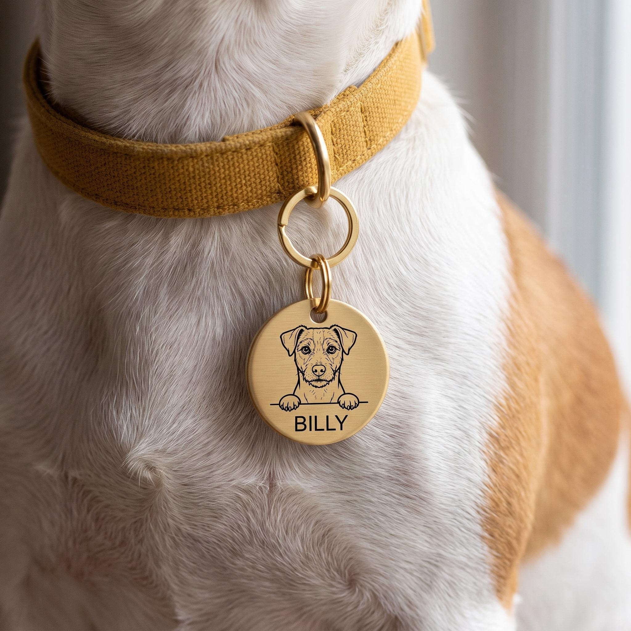 Jack Russell wearing the personalised Jack Russell dog tag on its collar
