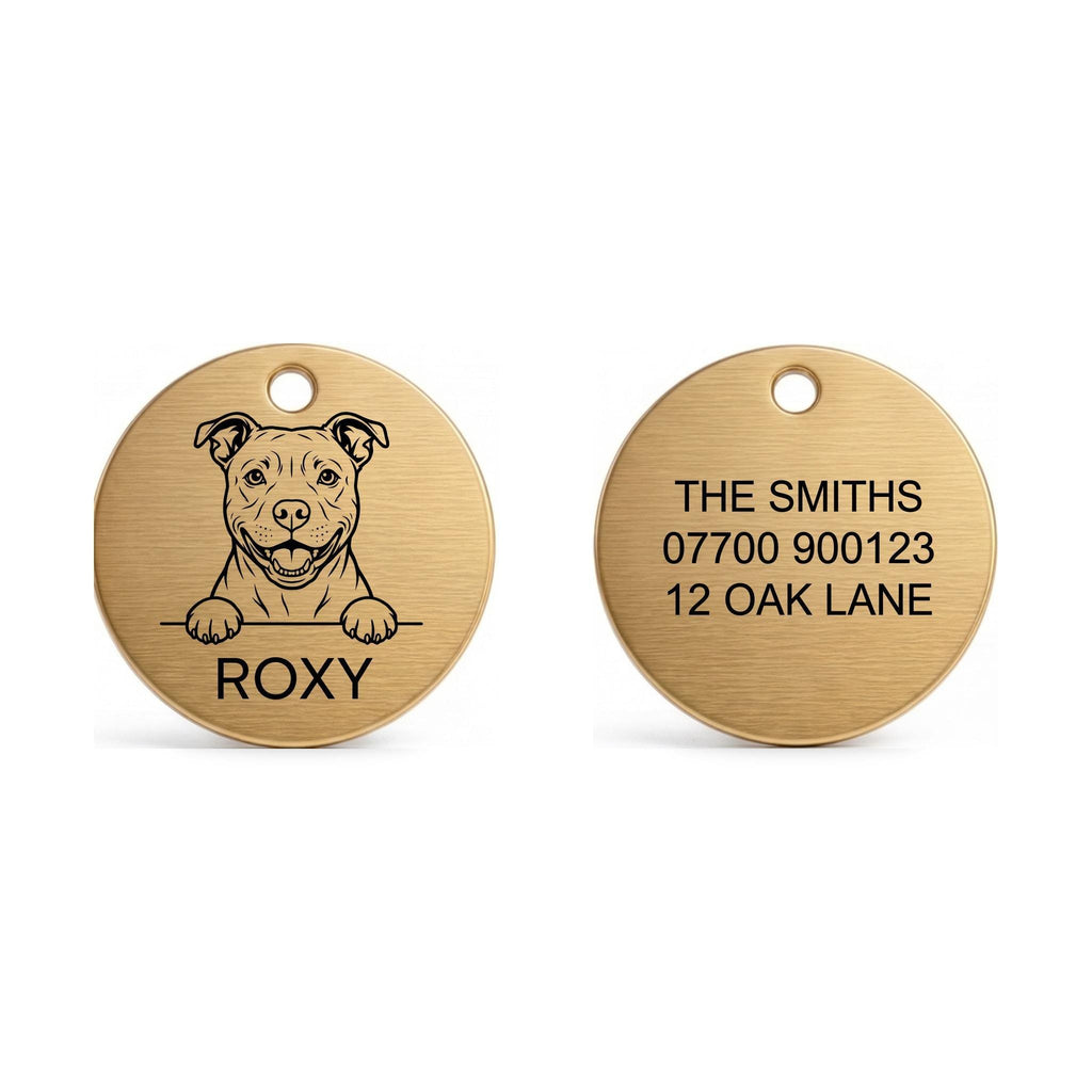 Front and back of the Staffy dog tag: breed design and name on the front, contact details on the back