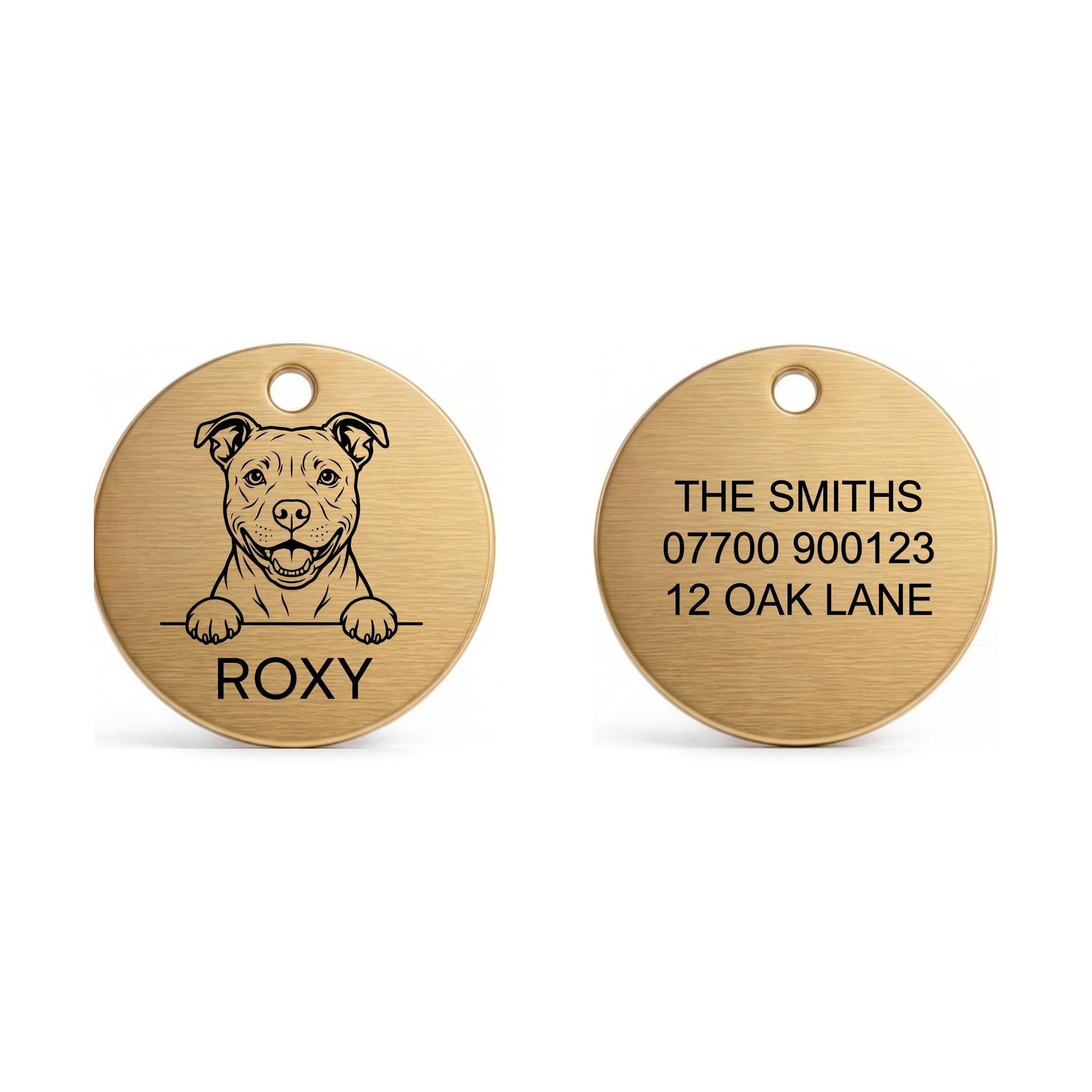 Front and back of the Staffy dog tag: breed design and name on the front, contact details on the back