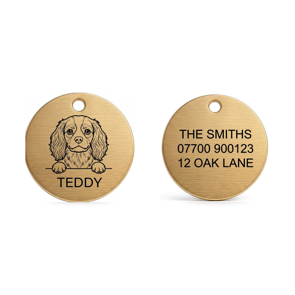 Front and back of the Cavalier King Charles dog tag: breed design and name on the front, contact details on the back
