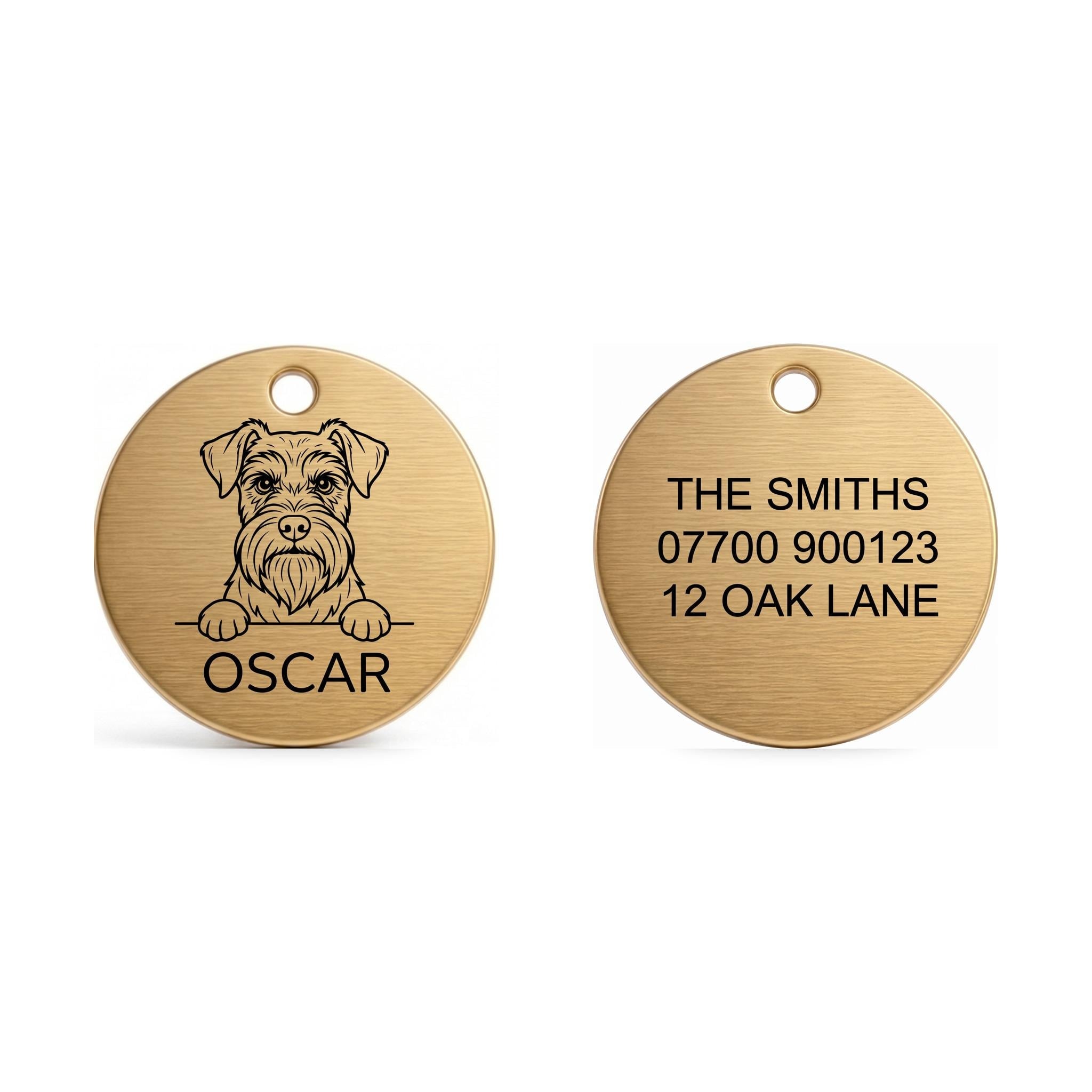 Front and back of the Miniature Schnauzer dog tag: breed design and name on the front, contact details on the back