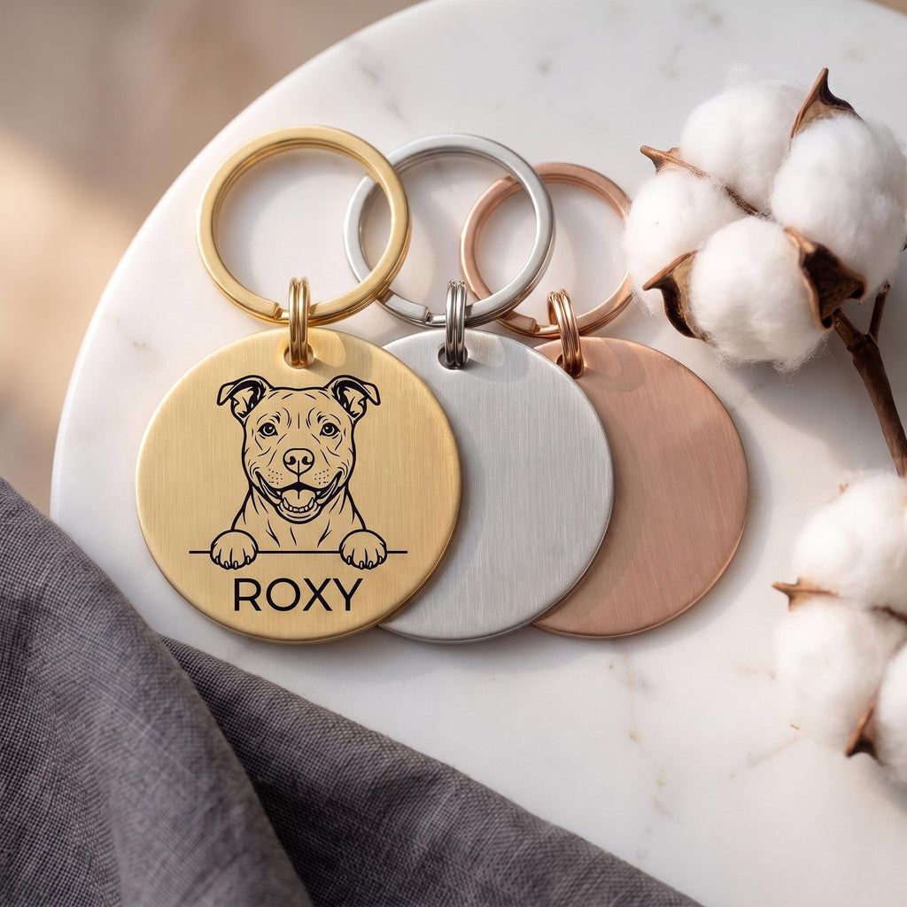 Personalised Staffy dog tags in gold, silver and rose gold, fanned to show all three brushed finishes
