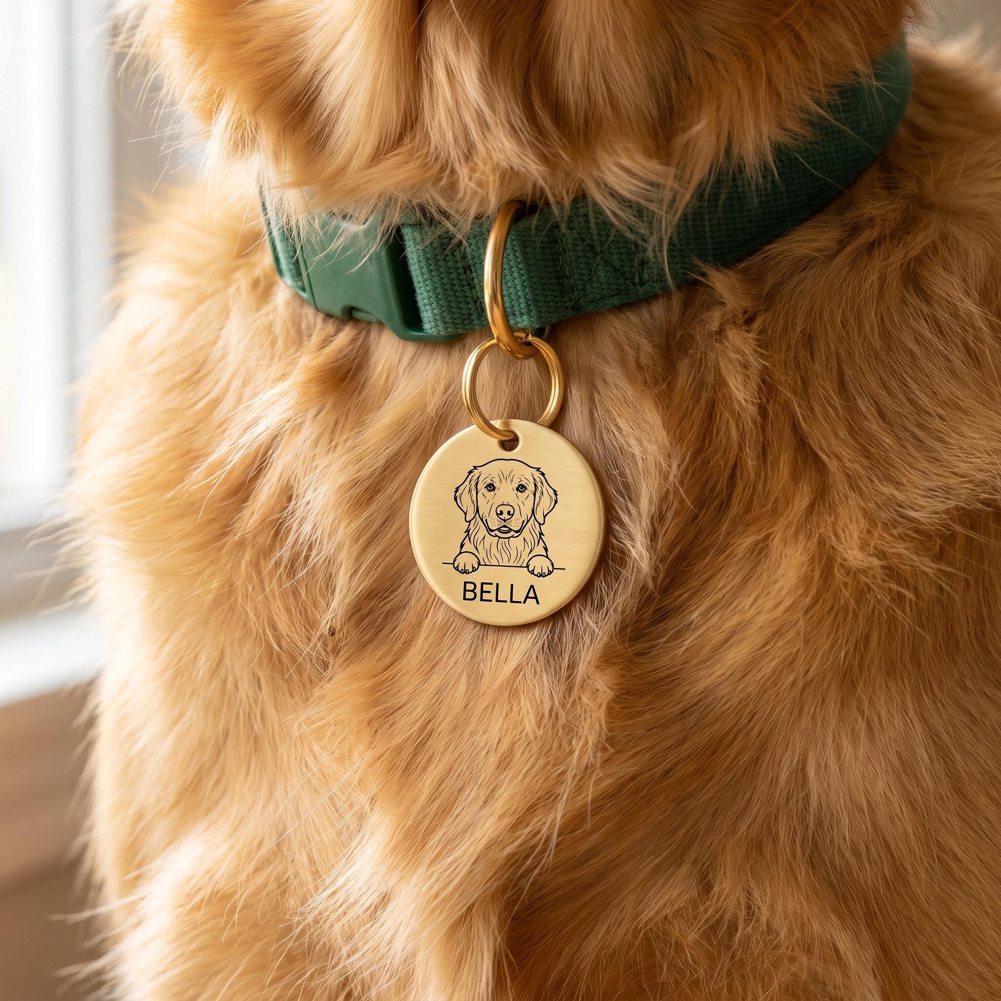 Golden Retriever wearing the personalised Golden Retriever dog tag on its collar