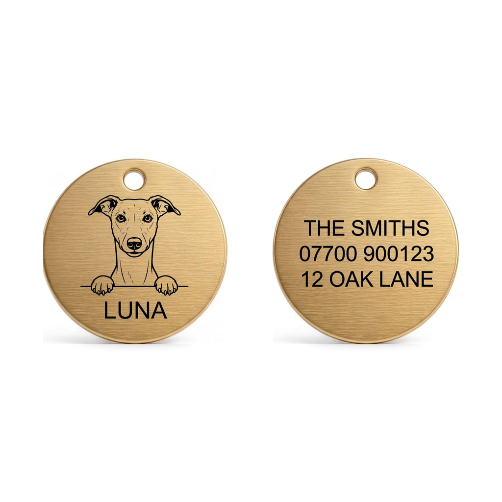 Front and back of the Whippet dog tag: breed design and name on the front, contact details on the back