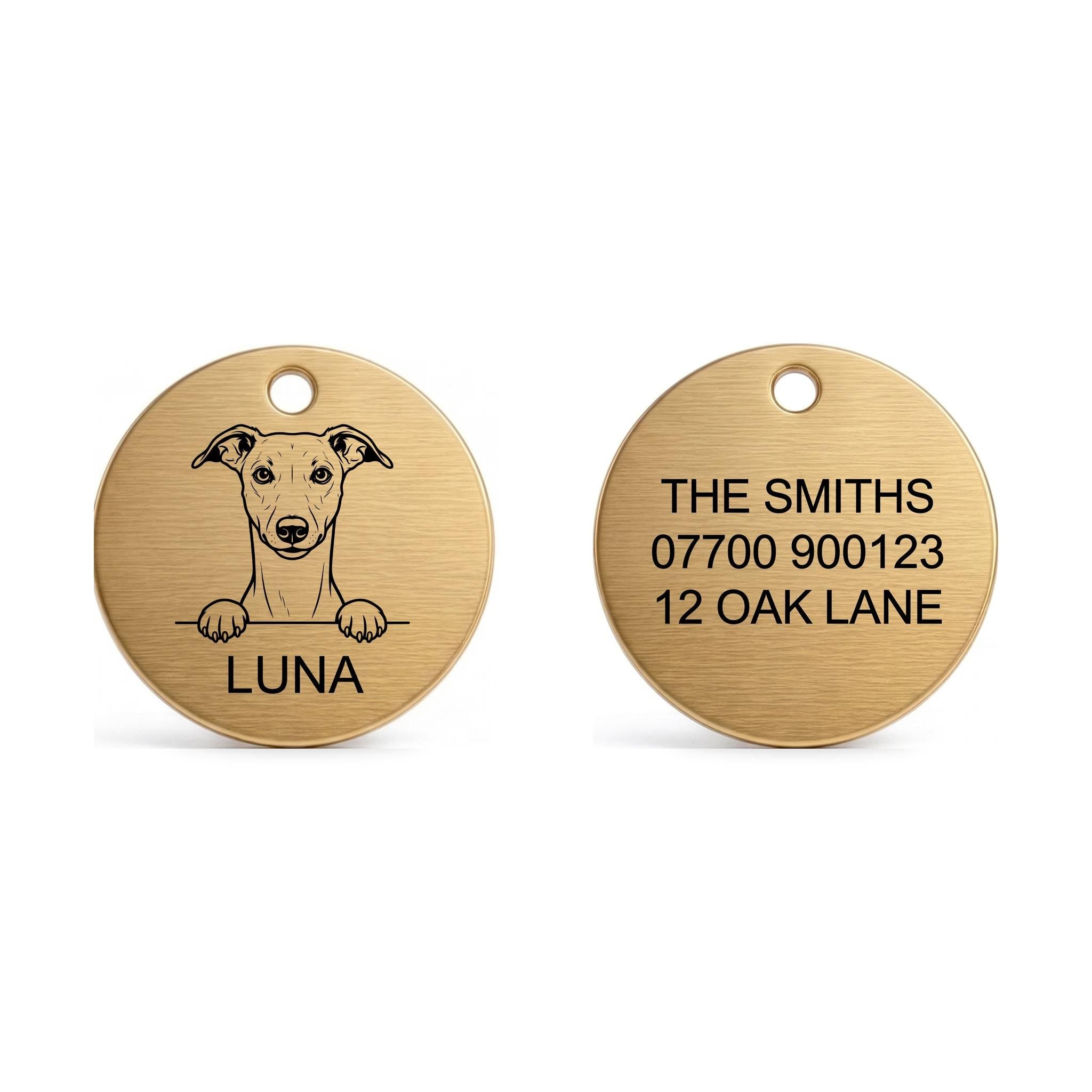 Front and back of the Whippet dog tag: breed design and name on the front, contact details on the back