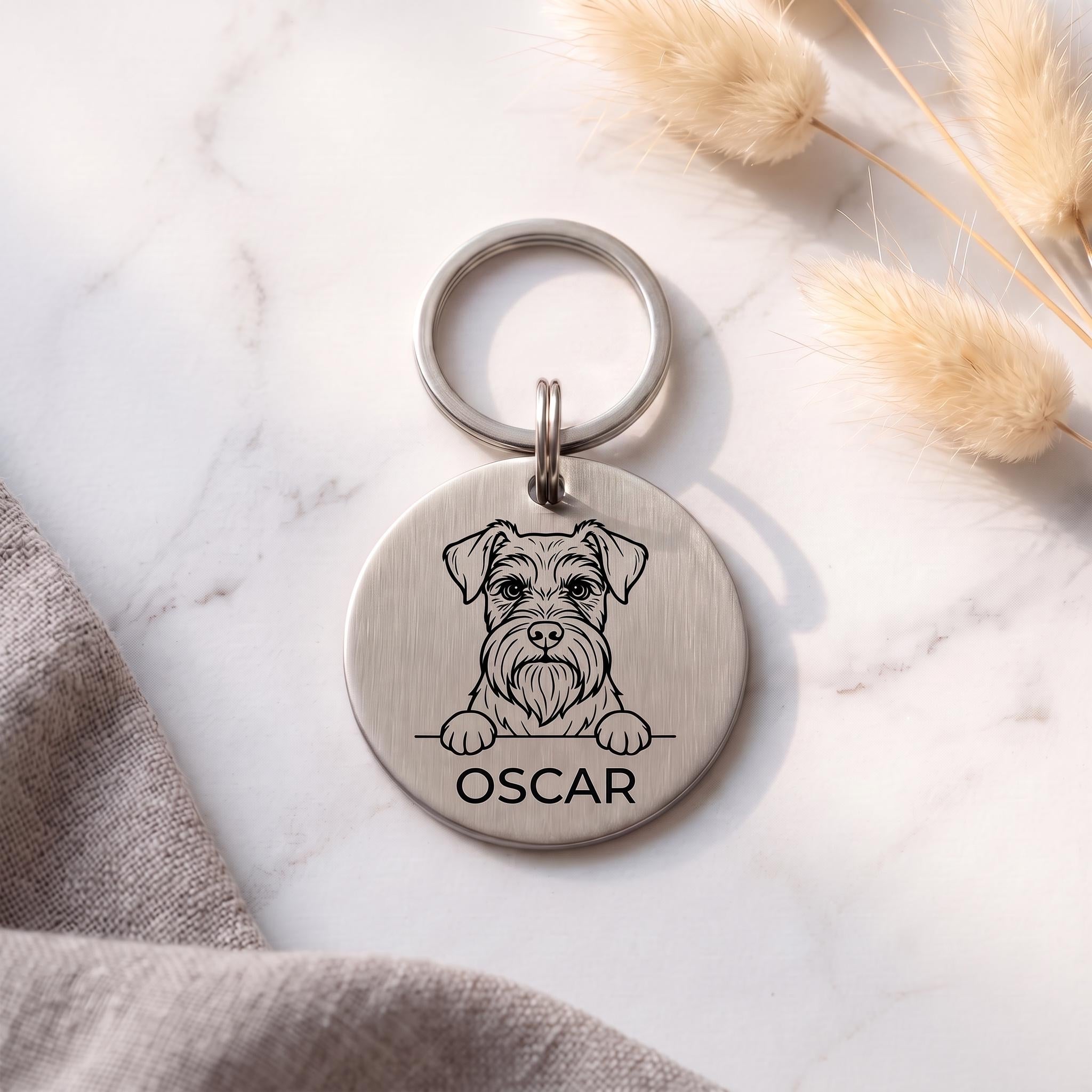 Silver personalised Miniature Schnauzer dog tag in brushed stainless steel