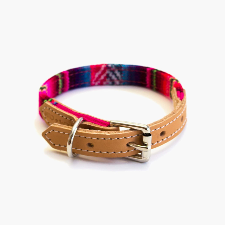 Extra Small Louis Vuitton Dog Collar and Leash - Royal Dog Collars