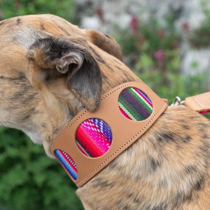Inca Pink Leather Whippet & Greyhound Fishtail Collar