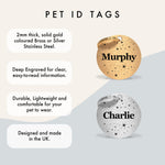 Silver Stainless Steel Personalised Dog Collar Tag with Custom Engraved Pet Name and Stars The Stately Hound