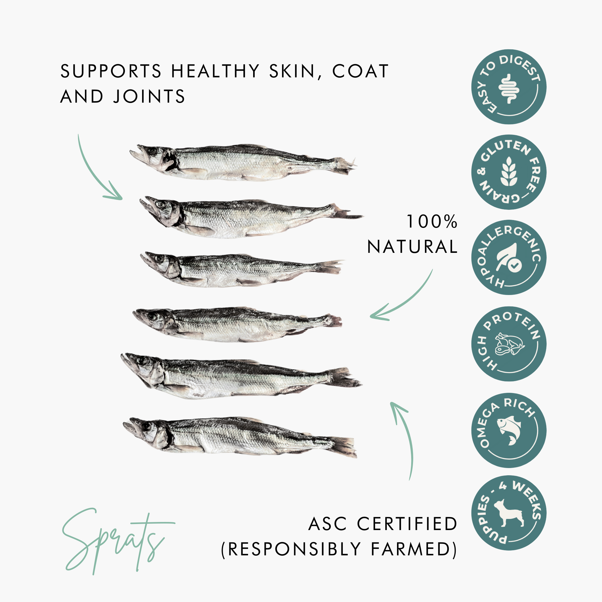 Large Whole Baltic Sprats – 100% Natural, Omega-Rich Dog Treats - 200g The Stately Hound