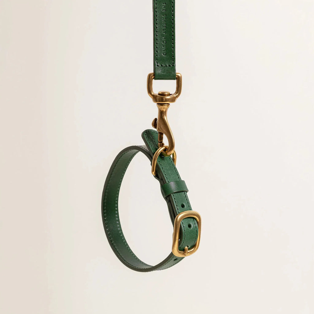 Luxury Emerald Green Leather Dog Collar – Soft & Durable