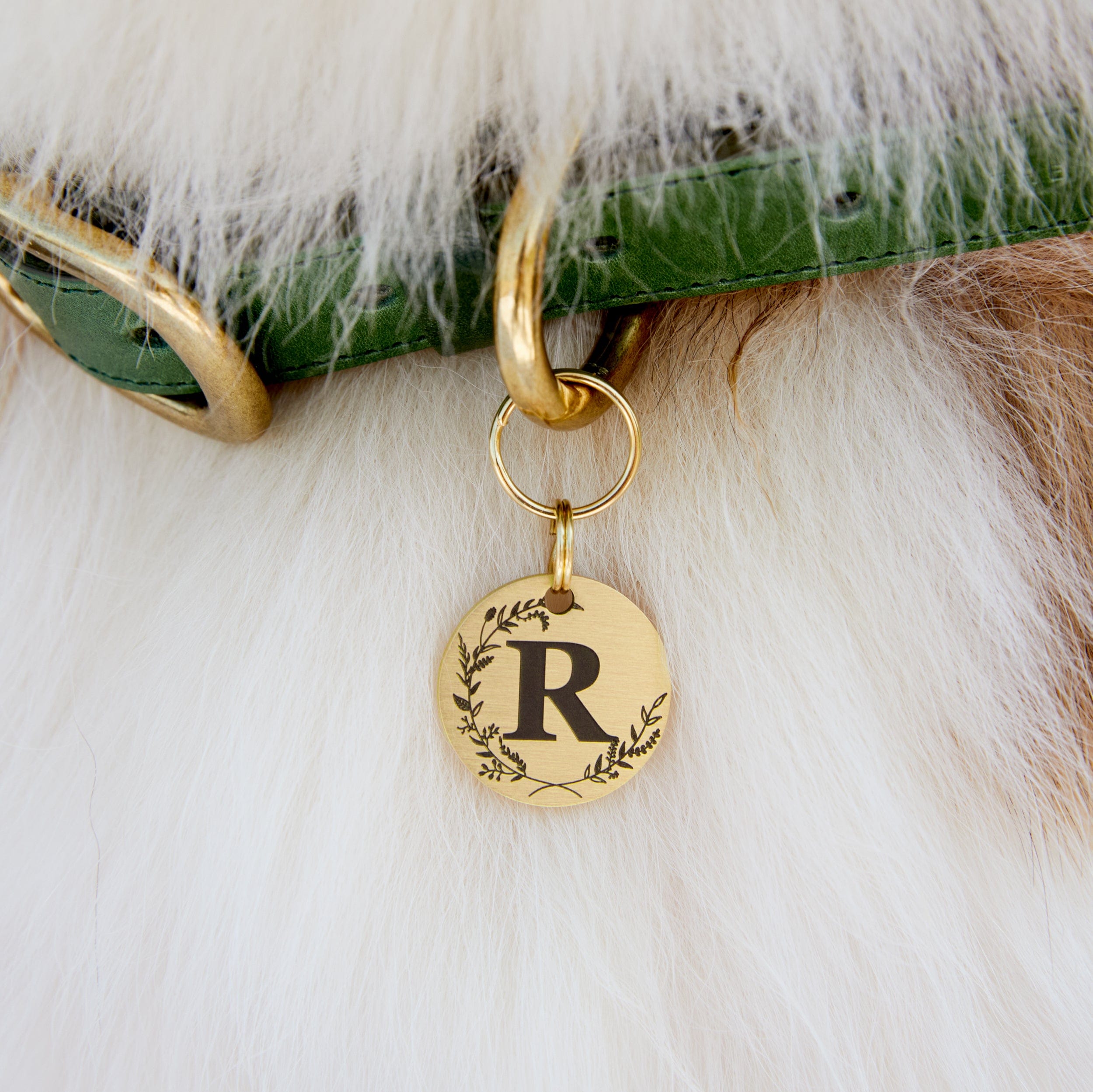 Luxury Monogrammed Brass Dog Name Tag – Stylish, Durable, and Personalised