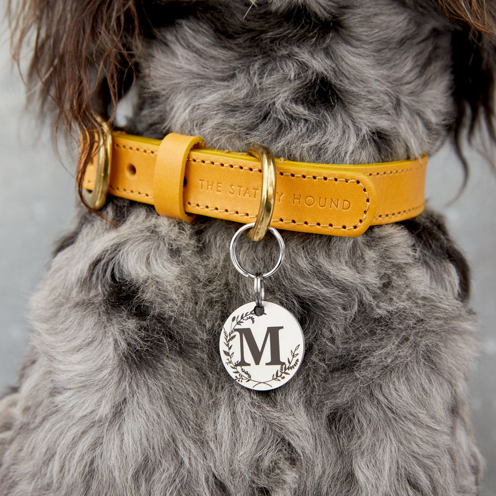 Luxury Silver Stainless Steel Dog Name Tag – Monogrammed, Durable, and Personalised