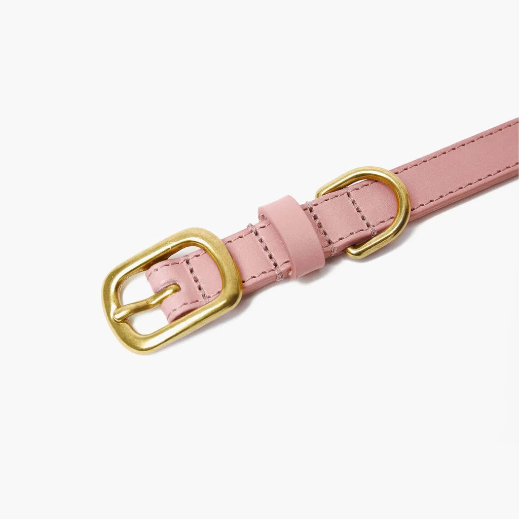 Luxury Soft Leather Dog Collar – Baby Pink
