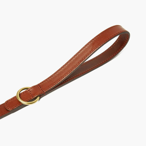 Autumn Maple Brown Leather Dog Lead with Gold Hardware
