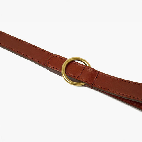 Autumn Maple Brown Leather Dog Lead with Gold Hardware