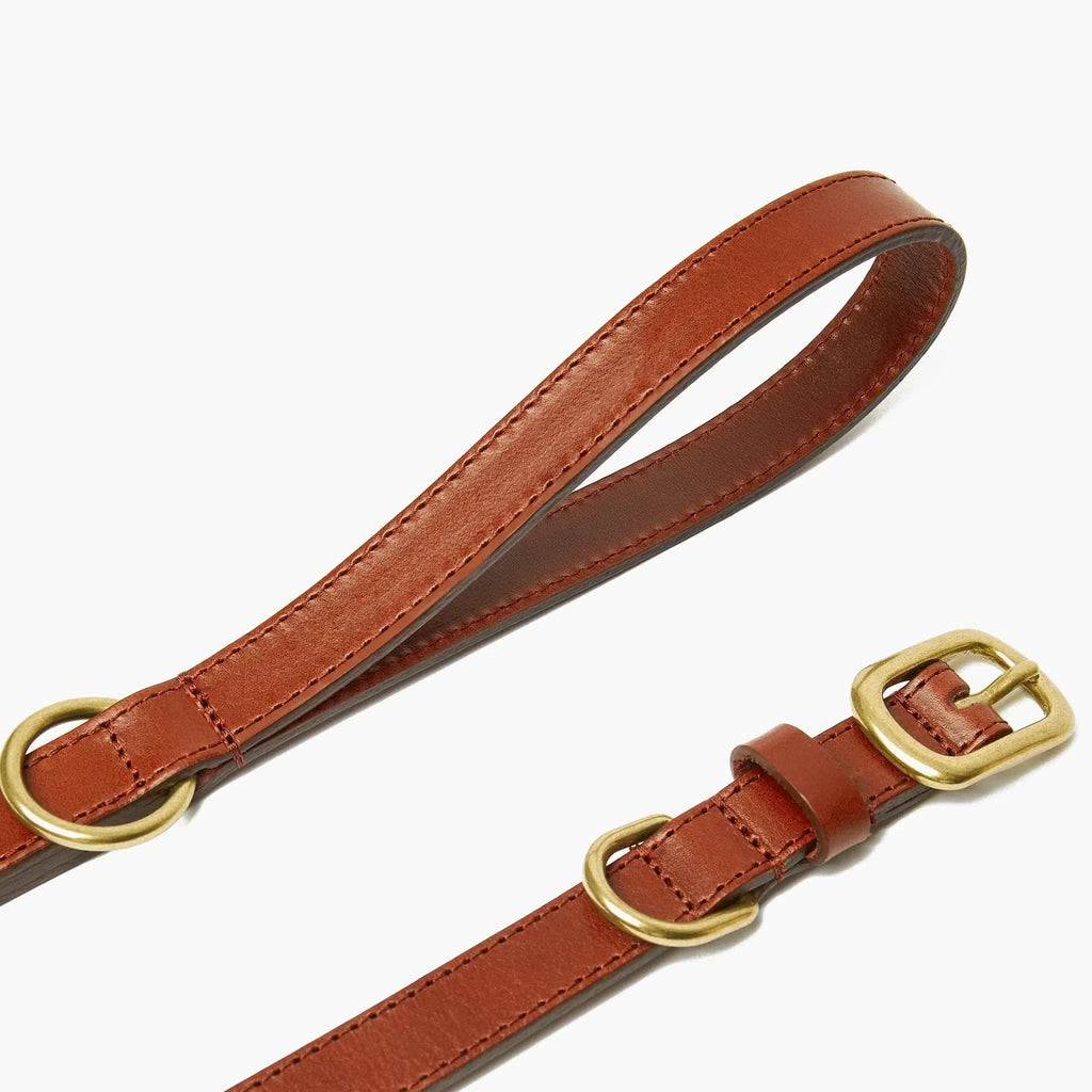 Autumn Maple Brown Leather Dog Lead with Gold Hardware