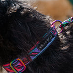 Close-up of quick-release buckle and metal D-ring on Mud Cloth dog collar - fully adjustable