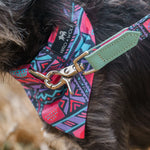 Dog collar with colorful pattern and green strap on a dog's neck