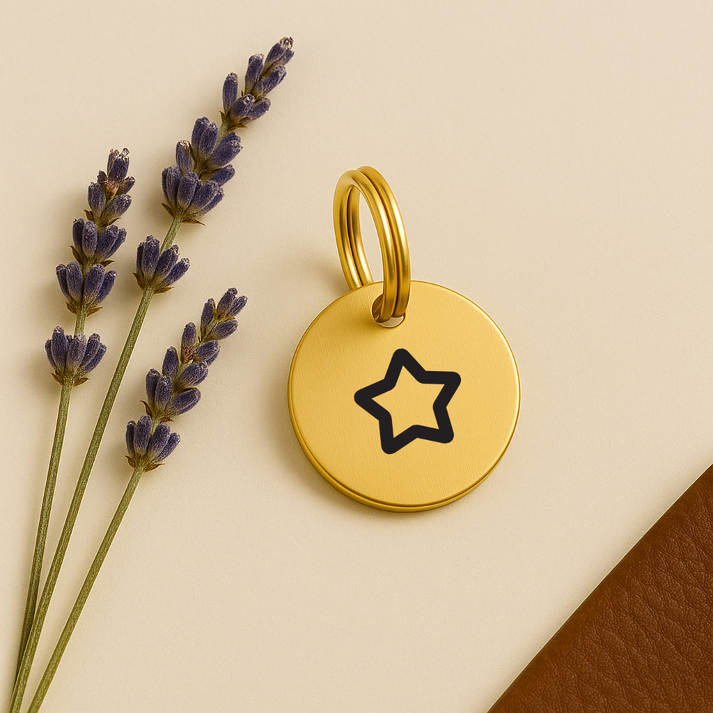 No-Name Gold Brass Dog Tag with Icon Engraving & Custom Contact Info