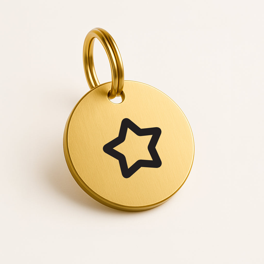 No-Name Gold Brass Dog Tag with Icon Engraving & Custom Contact Info