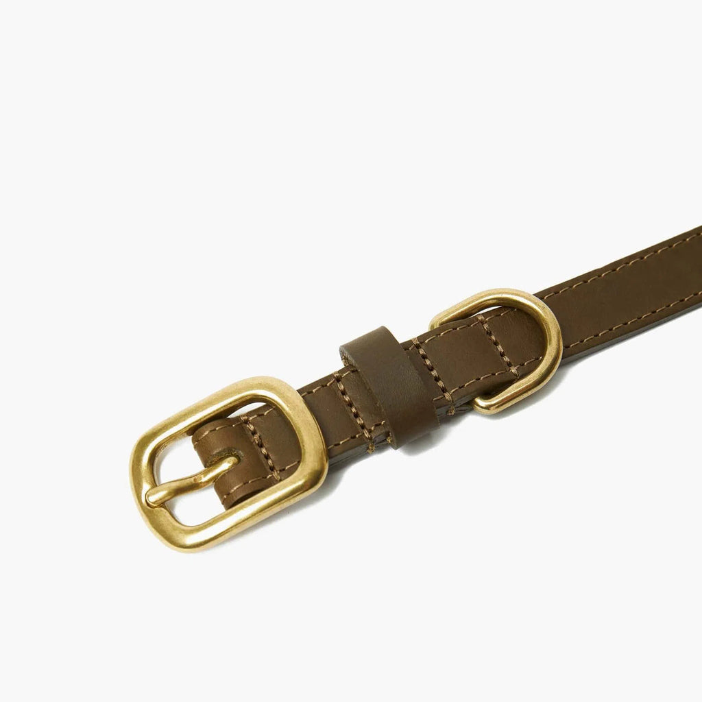 Olive Green Leather Dog Collar – Comfortable for Everyday Use