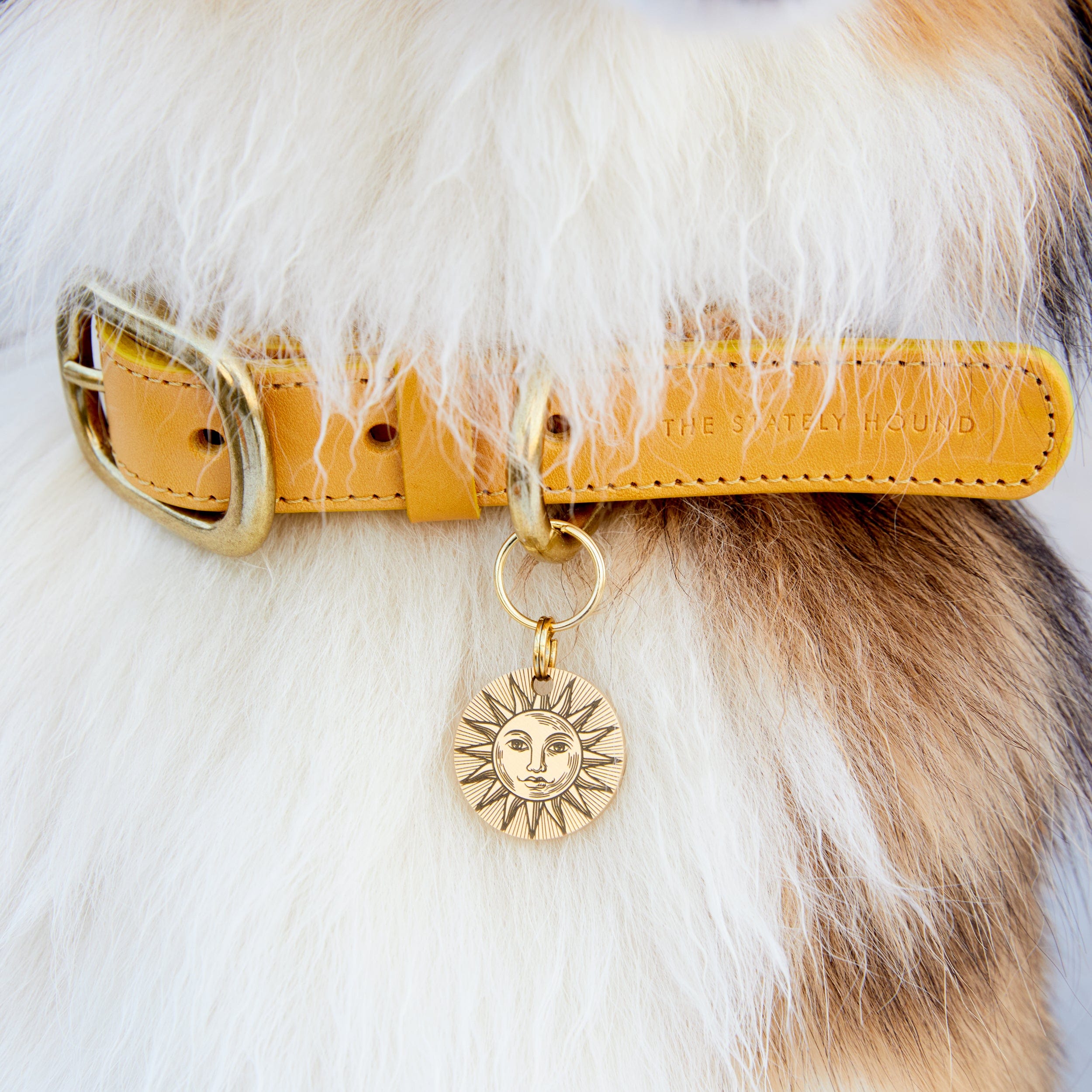 Personalised Brass Dog ID Tag with Engraved Sun Design and Contact Details