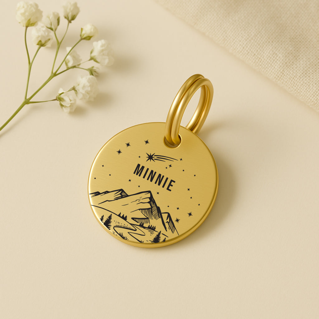 Personalised Dog Name Tag - Gold Coloured Solid Brass Starry Night Shooting Star Scene