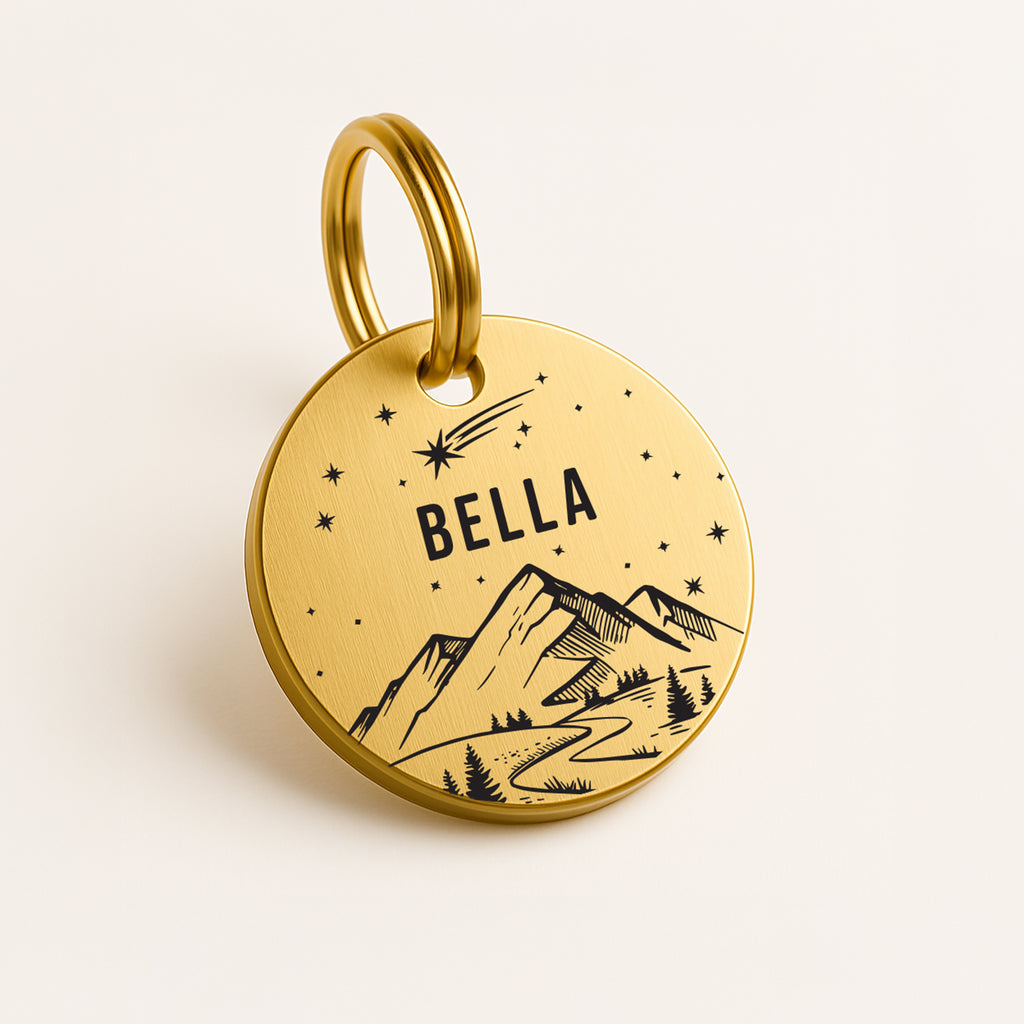 Personalised Dog Name Tag - Gold Coloured Solid Brass Starry Night Shooting Star Scene