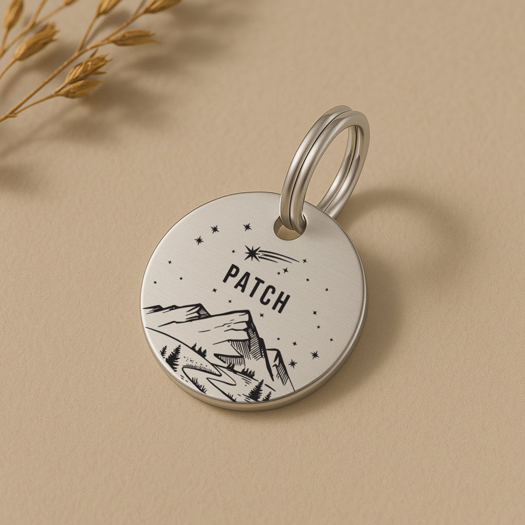 Personalised Dog Name Tag - Silver Stainless Steel Starry Night Shooting Star Scene
