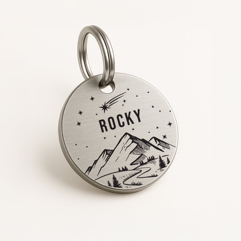 Personalised Dog Name Tag - Silver Stainless Steel Starry Night Shooting Star Scene
