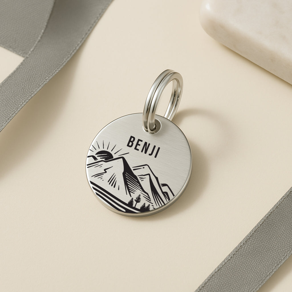 Personalised Dog Name Tag with Engraved Mountain Sunset Design in Silver Stainless Steel