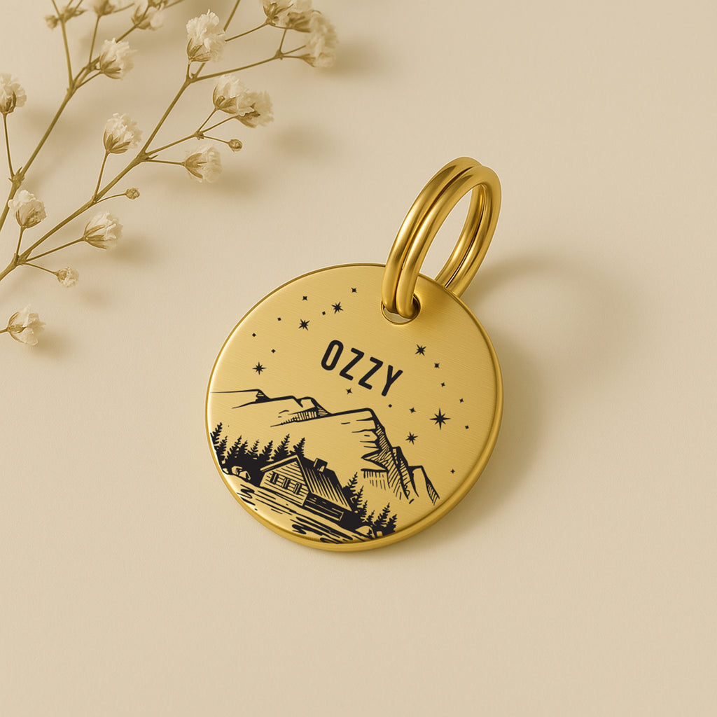 Personalised Engraved Mountain Scene Dog Name Tag in Gold Solid Brass