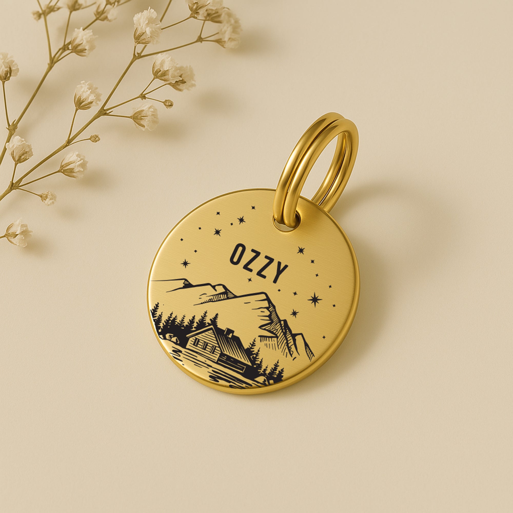 Personalised Engraved Mountain Scene Dog Name Tag in Gold Solid Brass