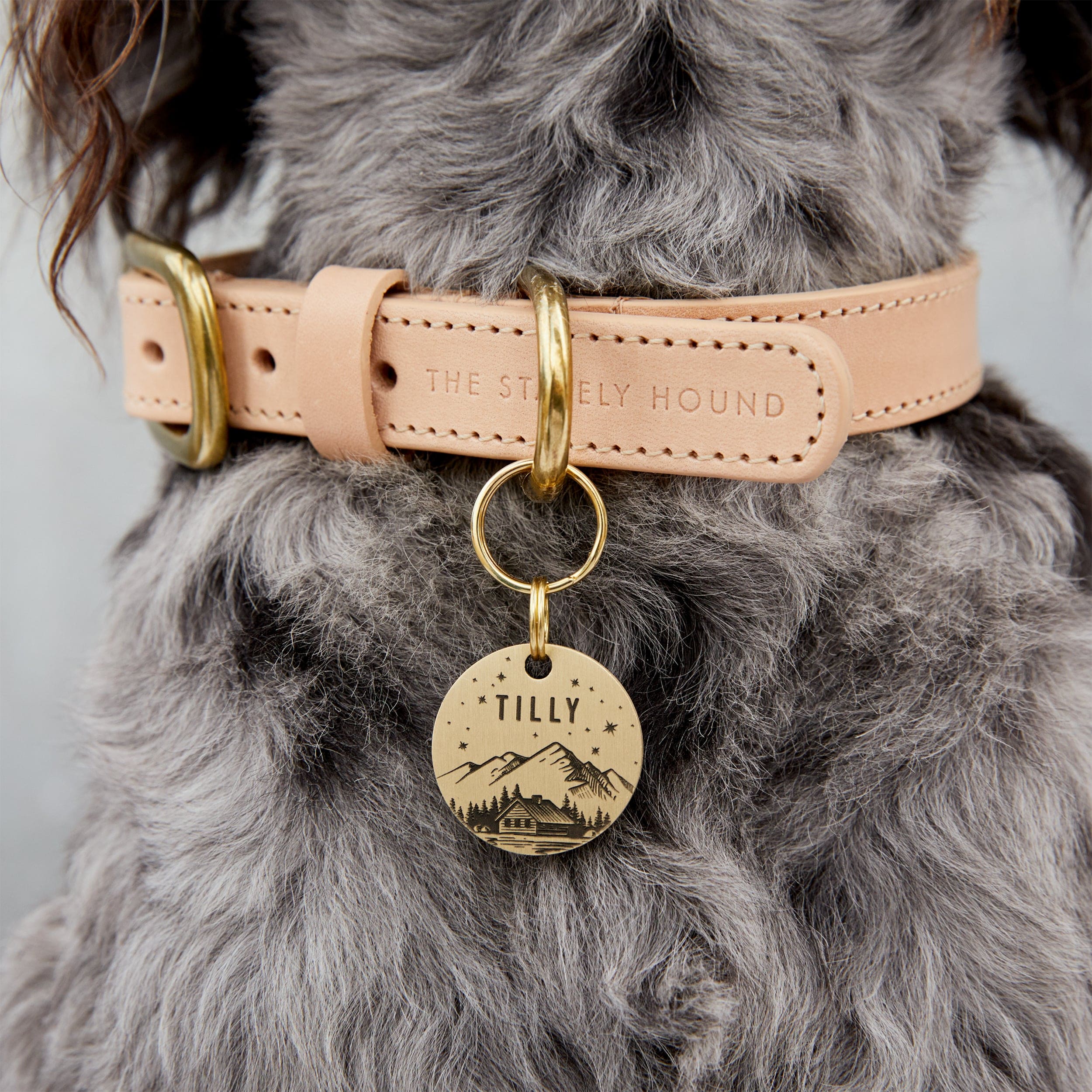 Personalised Engraved Mountain Scene Dog Name Tag in Gold Solid Brass