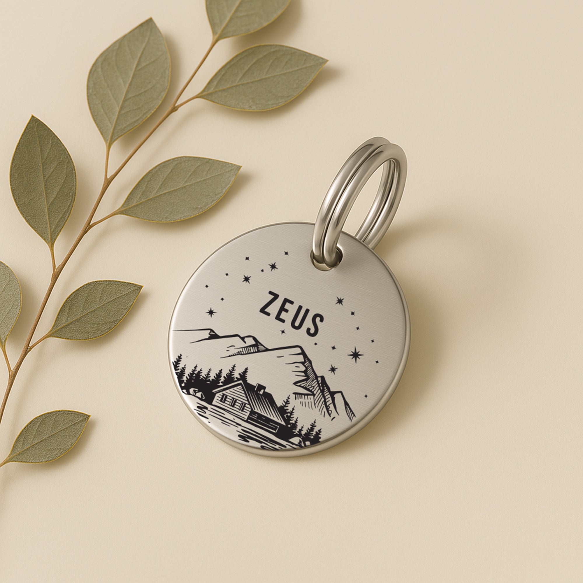 Personalised Engraved Mountain Scene Dog Name Tag in Silver Stainless Steel The Stately Hound