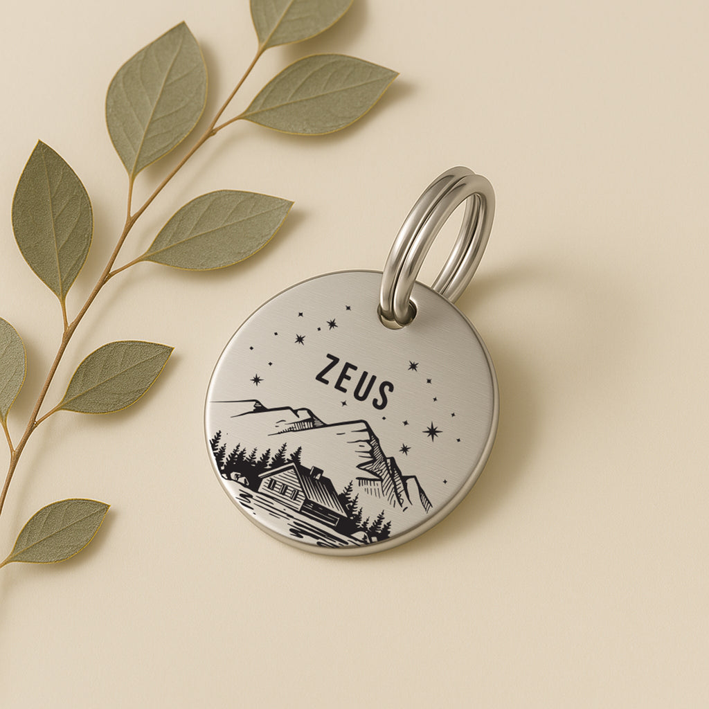 Personalised Engraved Mountain Scene Dog Name Tag in Silver Stainless Steel