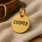 Personalised Gold ID Dog Name Tag Engraved in Brass The Stately Hound