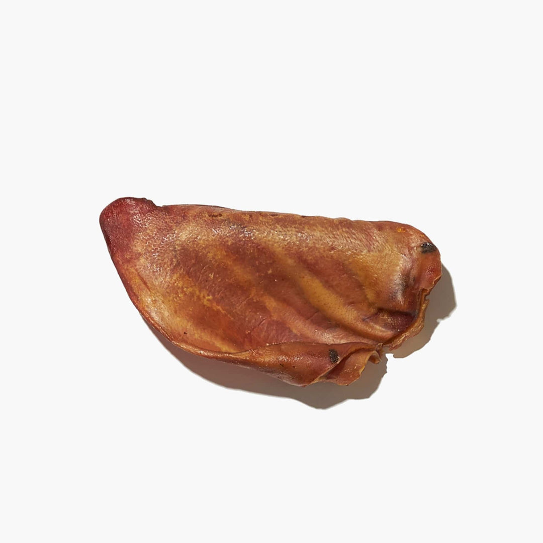 10 Pig Ears for Dogs, Natural, Healthy, and Long-Lasting Chews