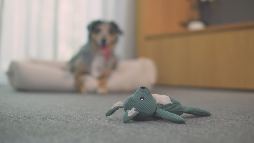 FuzzYard Blush Pink Dog Lead – Comfort & Style for Small Dogs and Puppies