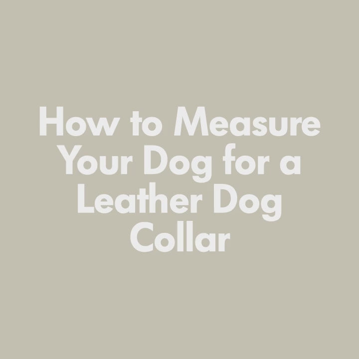 Olive Green Leather Dog Collar – Comfortable for Everyday Use