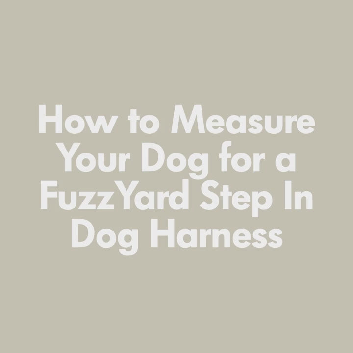 Large Cotton Step-In Dog Harness – Soft Blush Pink