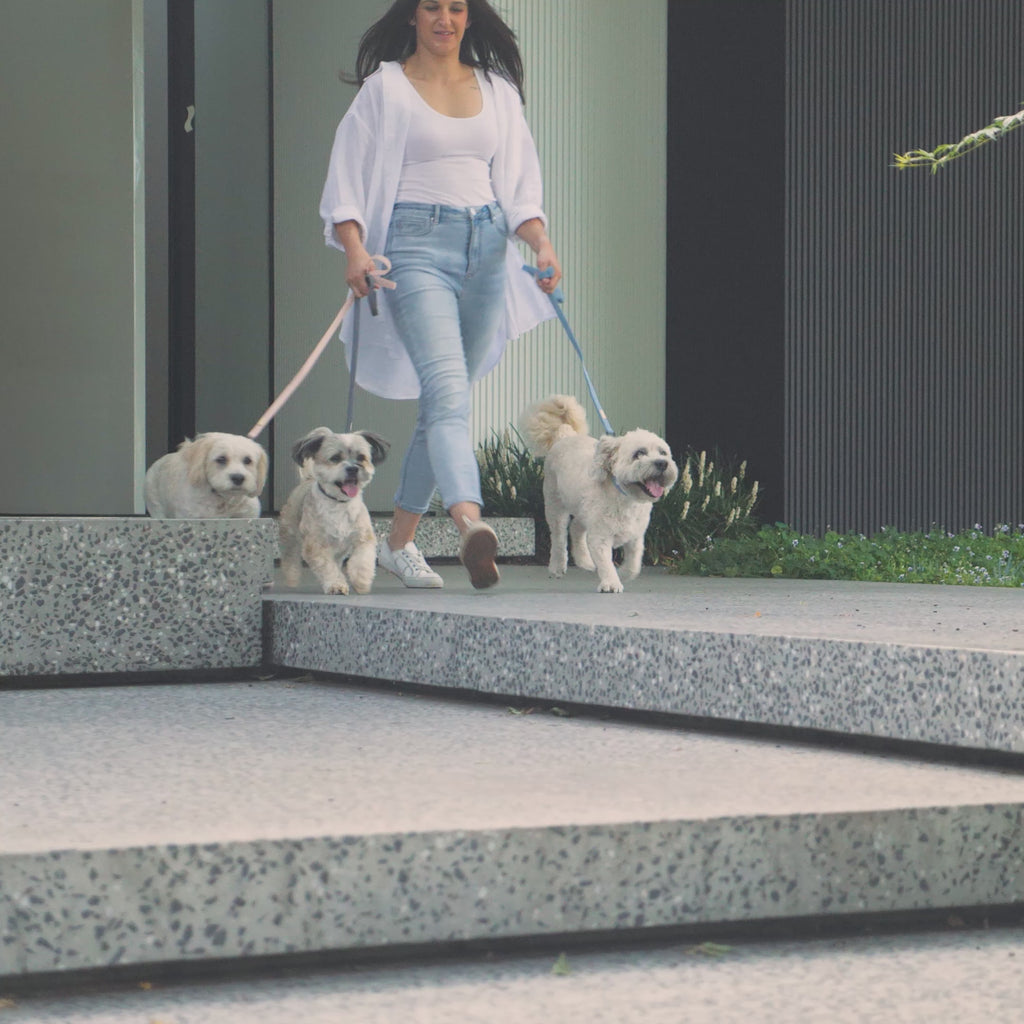 FuzzYard Life Sandstone Dog Lead – Stylish, Comfortable & Secure