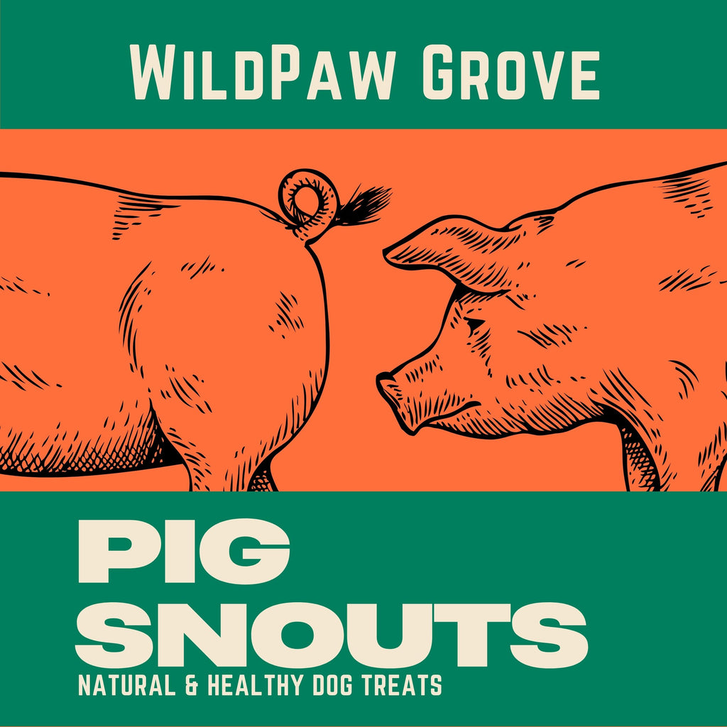 Puffed Pig Snout Dog Treats | Low-Fat, High-Protein, and Easily Digestible