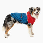 The Seattle Dog Water Resistant Raincoat in Red and Blue The Stately Hound