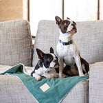 FuzzYard Comforter Reversible Dog Blanket in Myrtle Green The Stately Hound