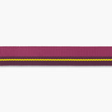Ruffwear Flat Out Adjustable Wildflower Horizon Dog Lead – Durable & Versatile The Stately Hound